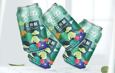 河北苹果醋包装设计