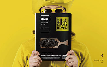 河北绯茶品牌设计